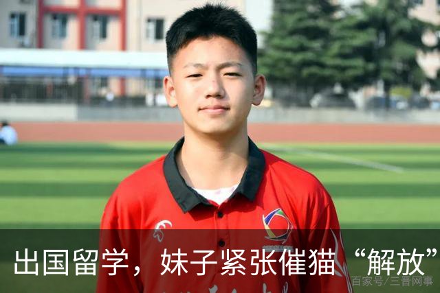 出国留学，妹子紧张催猫“解放”，网友纷纷共鸣